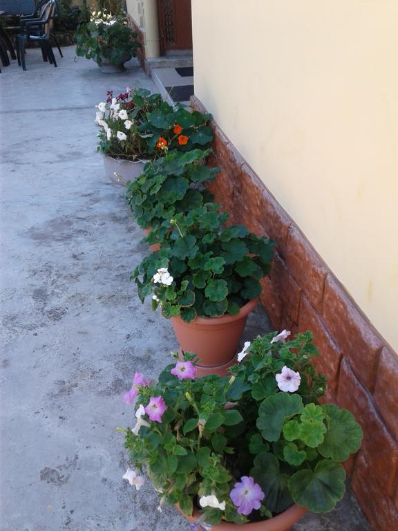 מלון Gonio Apsaros House מראה חיצוני תמונה
