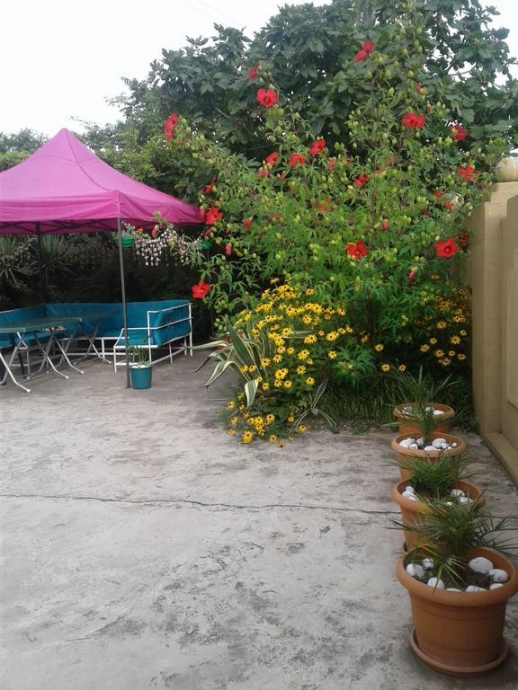 מלון Gonio Apsaros House מראה חיצוני תמונה