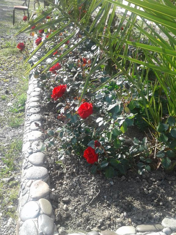 מלון Gonio Apsaros House מראה חיצוני תמונה