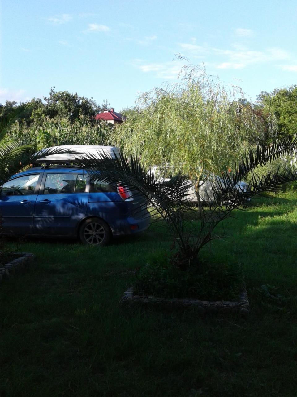 מלון Gonio Apsaros House מראה חיצוני תמונה
